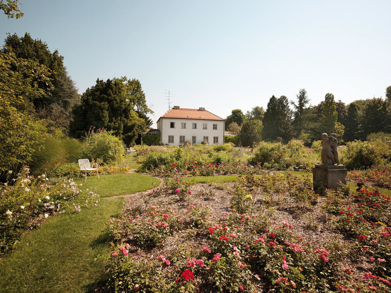 AU-Haidhausen München