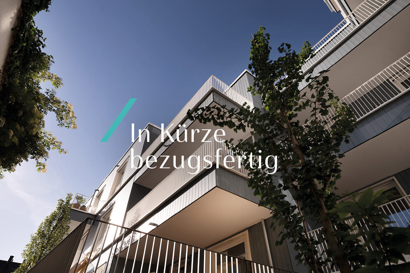 VINZENT