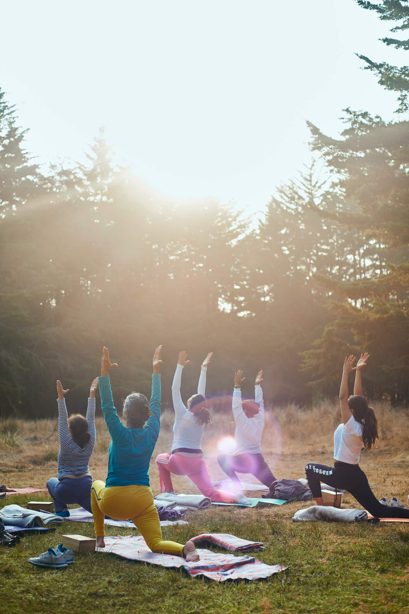 Gruppe beim Yoga im Freien mit Bäumen und Gegenlicht