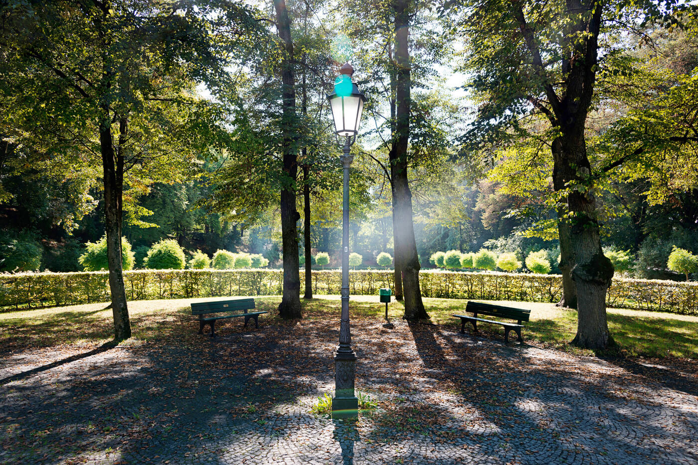 Englischer Garten München