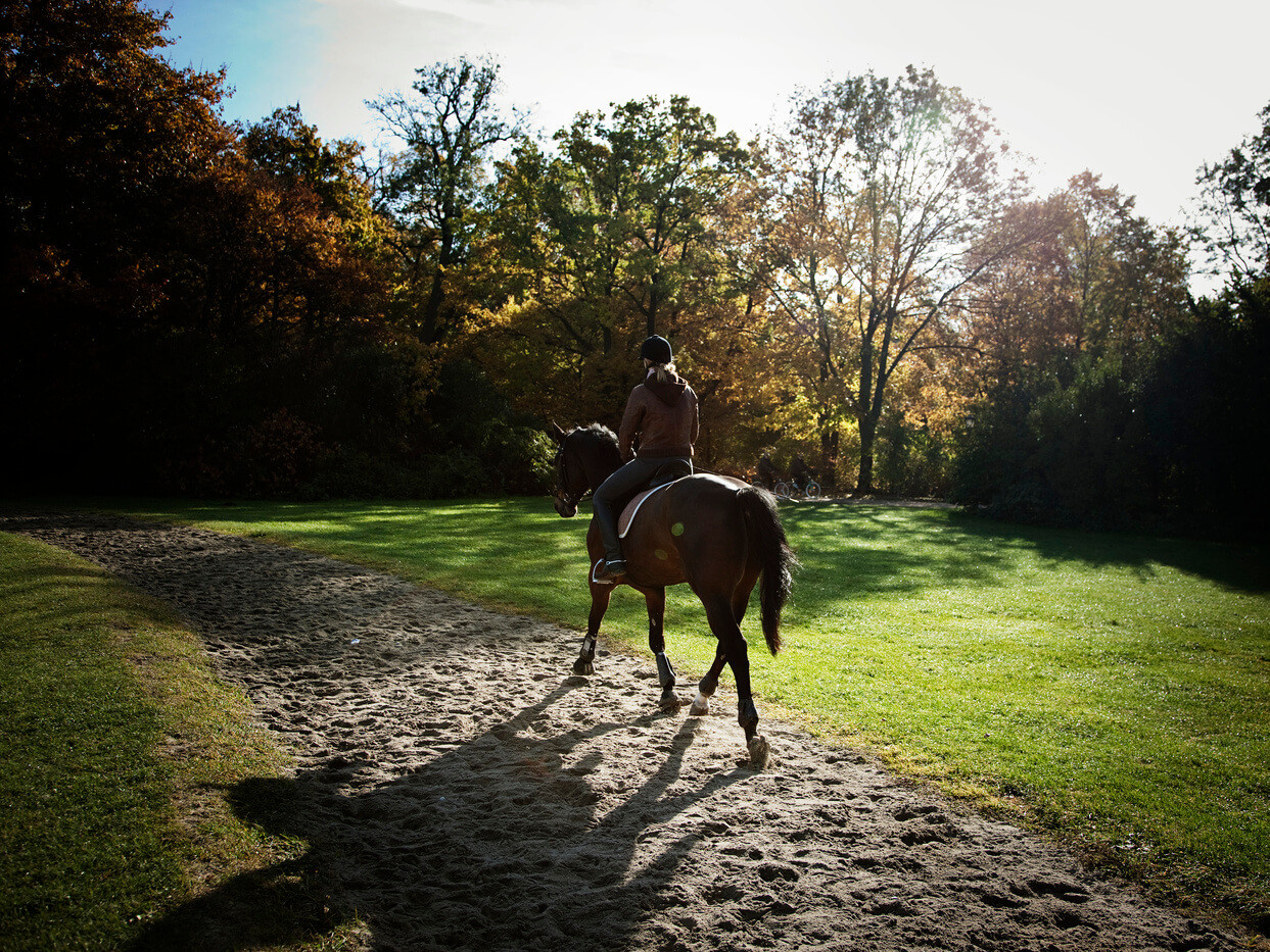 Reiten zwischen Ludwigskirche und Monopteros