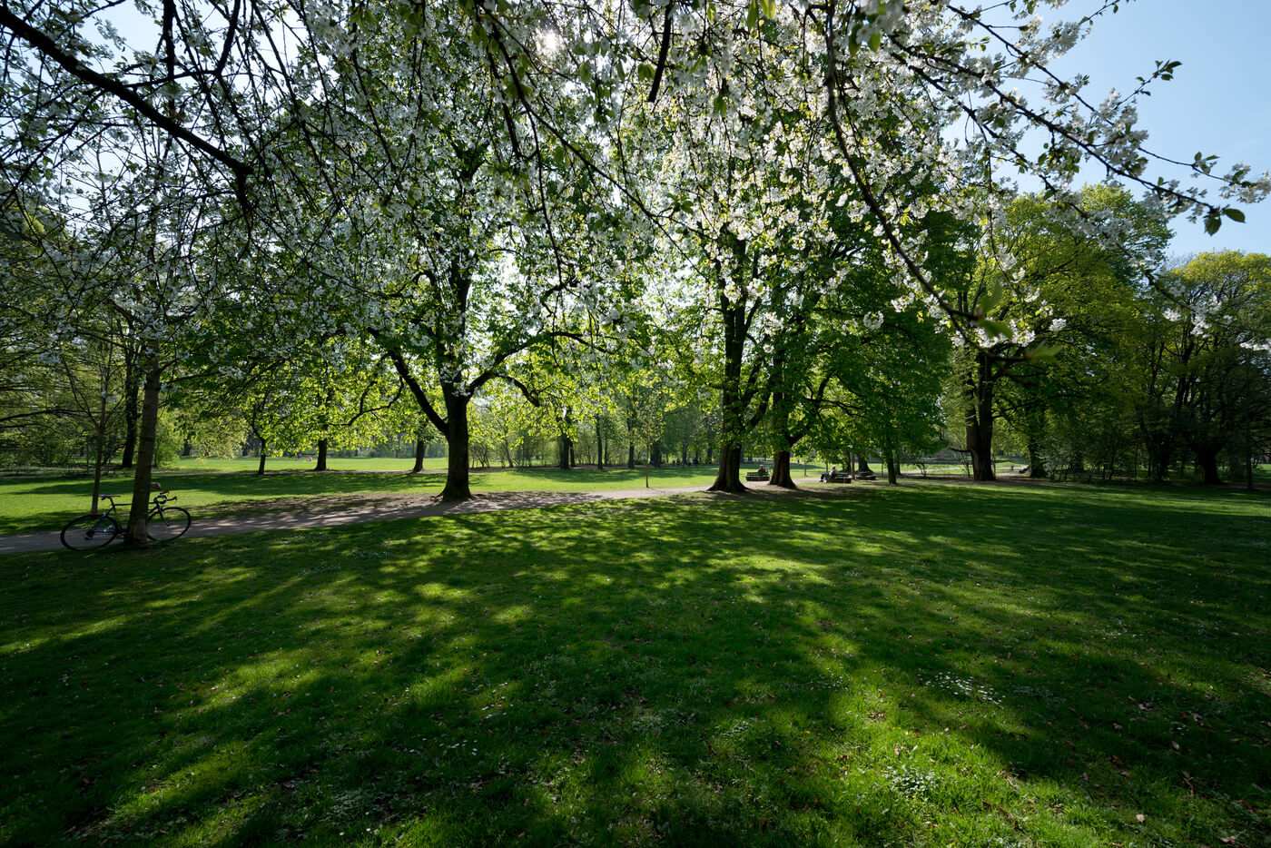 Englischer Garten München