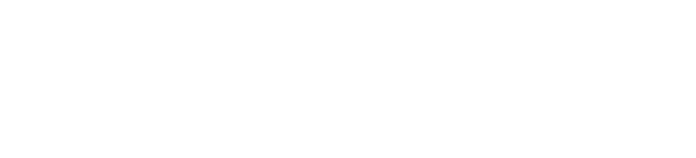 Logo SAM31