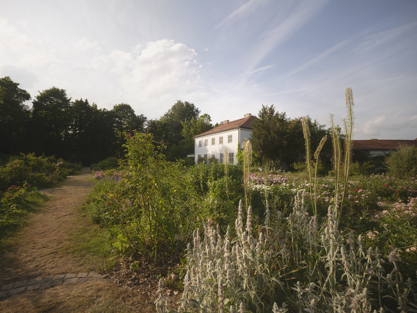 Rosengarten in Untergiesing mit Gartenhaus nahe dem Neubauprojekt Haus Claude
