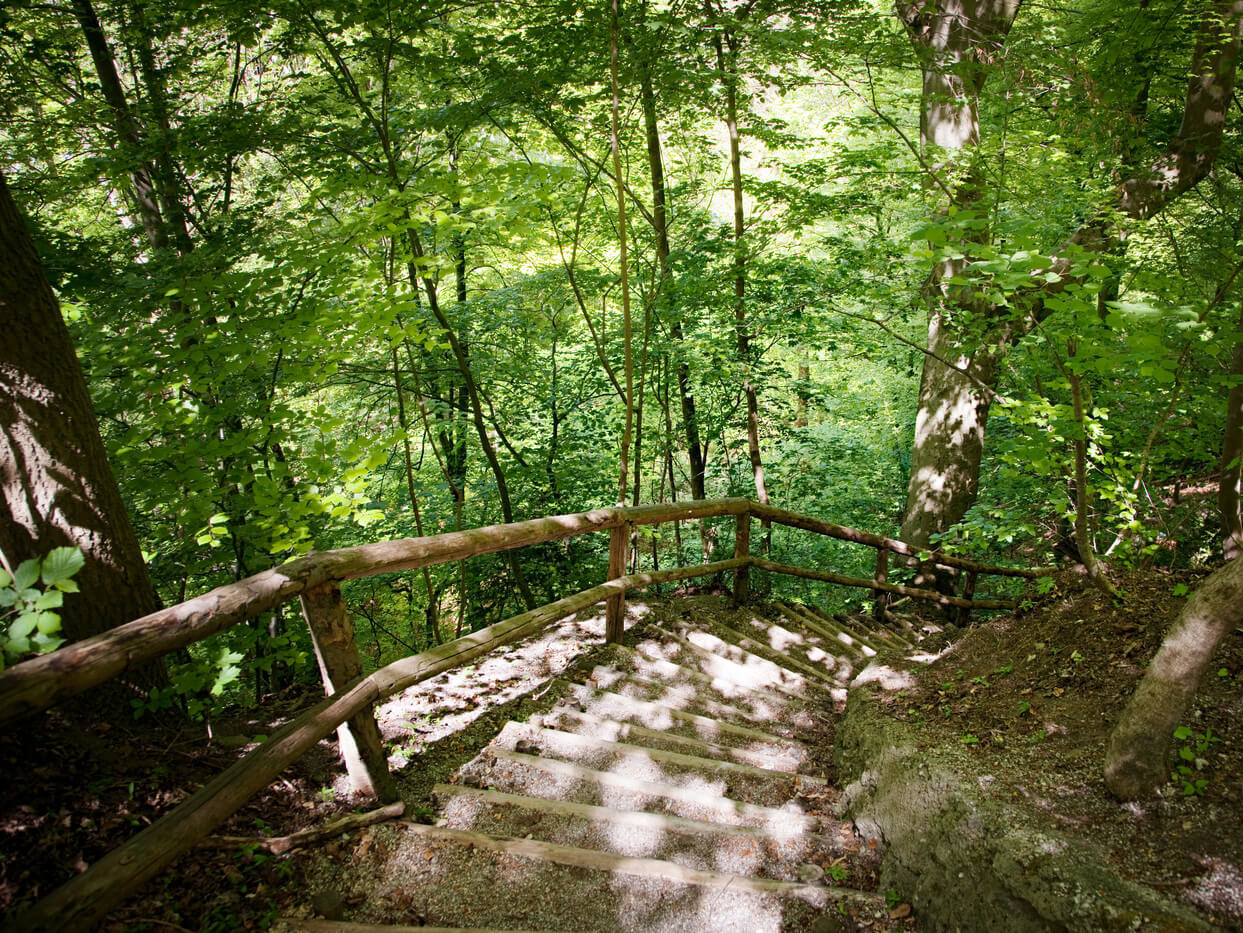 Waldweg zur Marienklause in  Untergiesing-Harlaching 