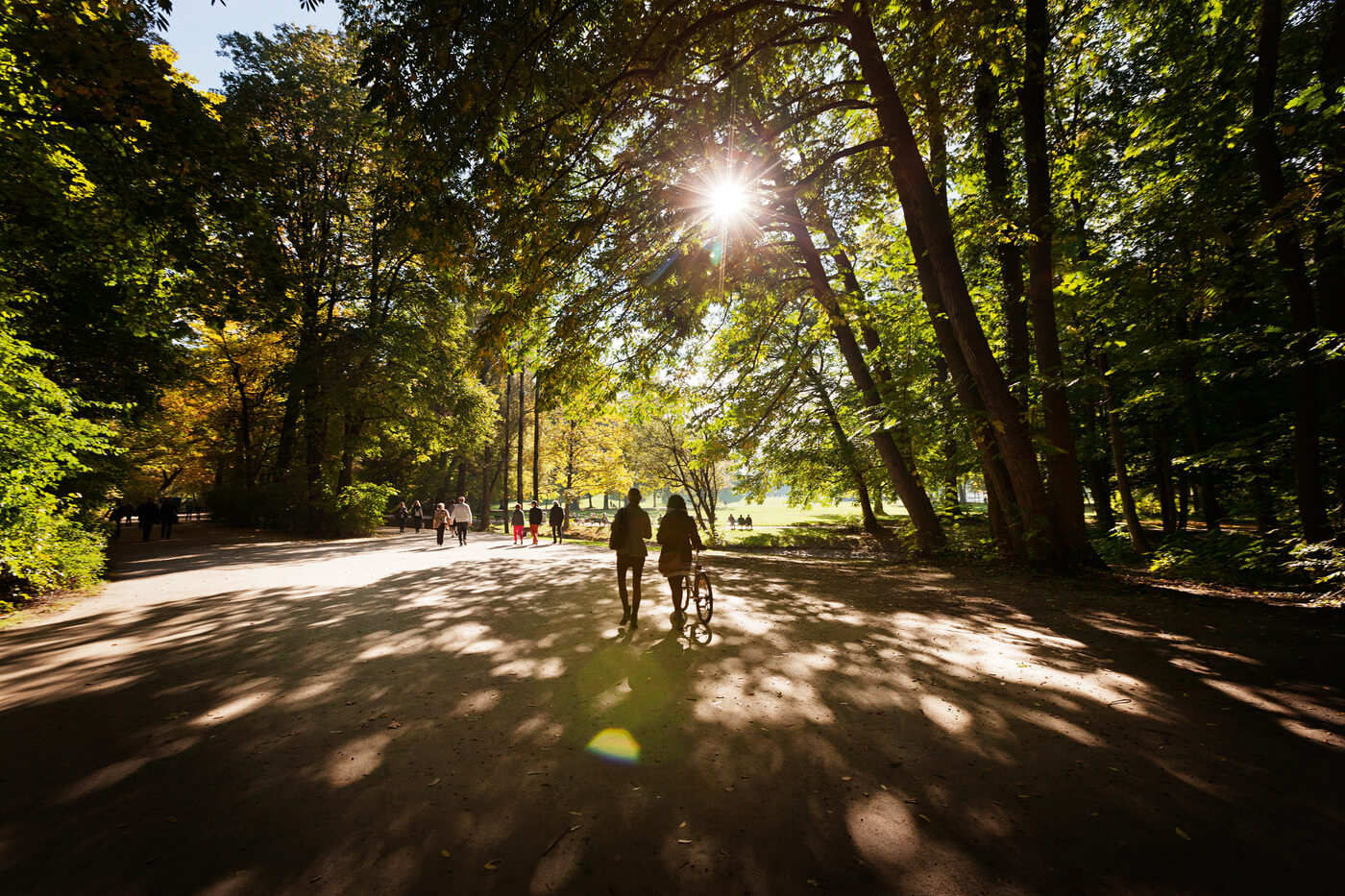 Lage des Projekts TIVOLI Garden im Englischen Garten in München mit Spazierwegen unter Bäumen und Möglichkeiten zu Spaziergängen im Grünen