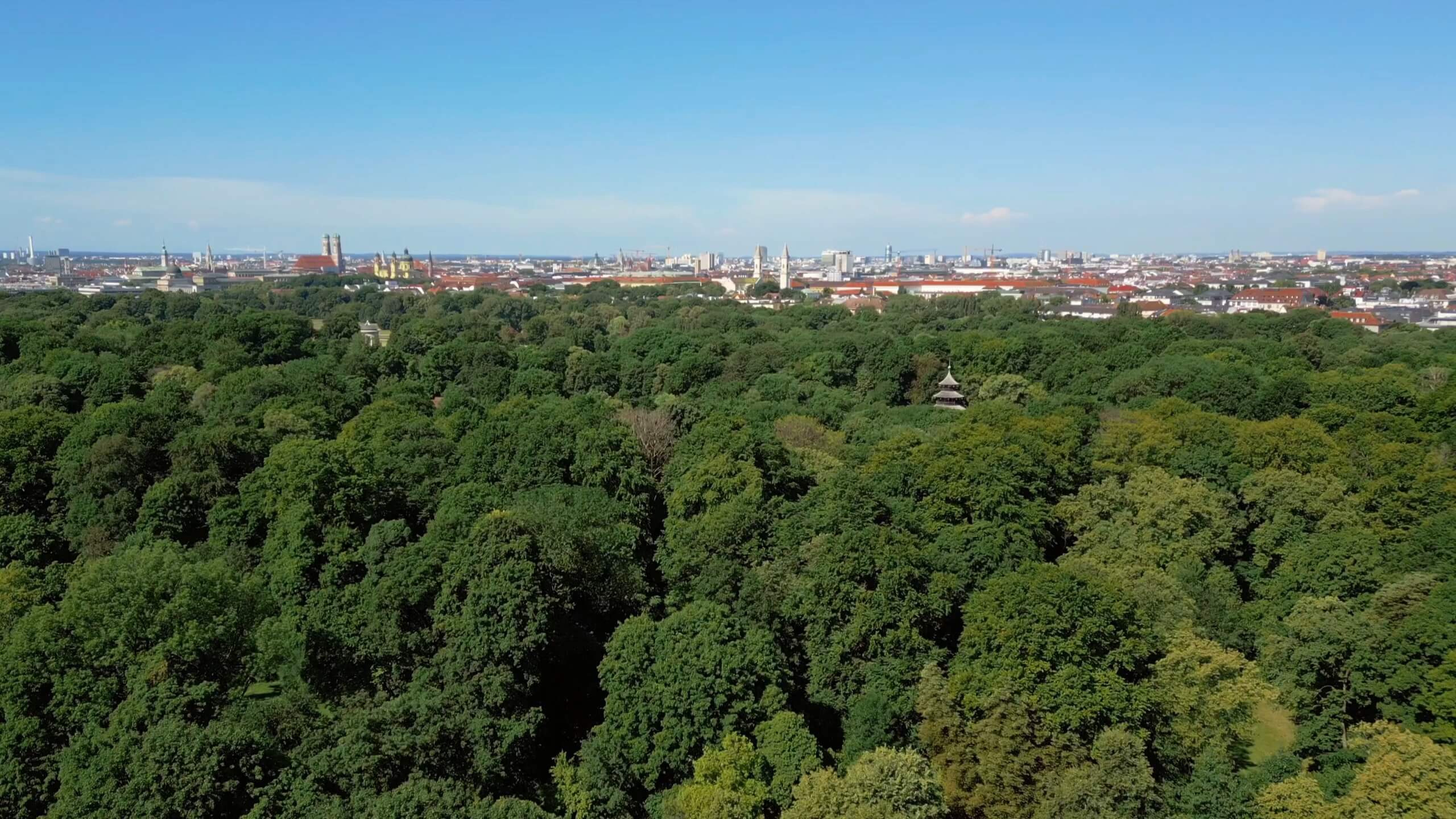 Panoramablick über den Englischen Garten in München mit dichter Baumlandschaft und Blick auf die Stadt, nahe dem Projekt TIVOLI Garden