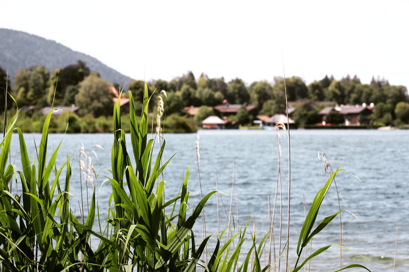 Wohnung zum Kauf im Landhaus Wallbergblick - nur wenige Minuten vom Tegernsees entfernt.