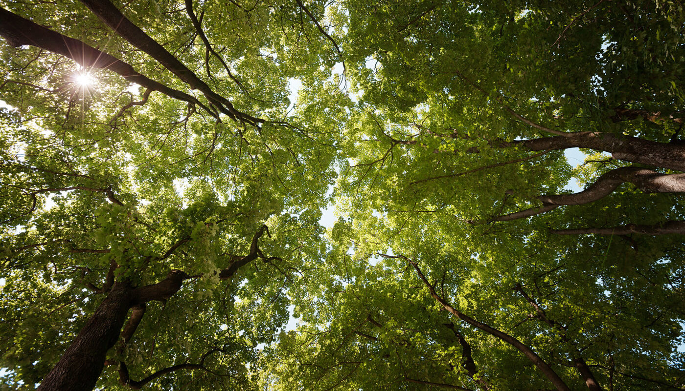 AU-Haidhausen München