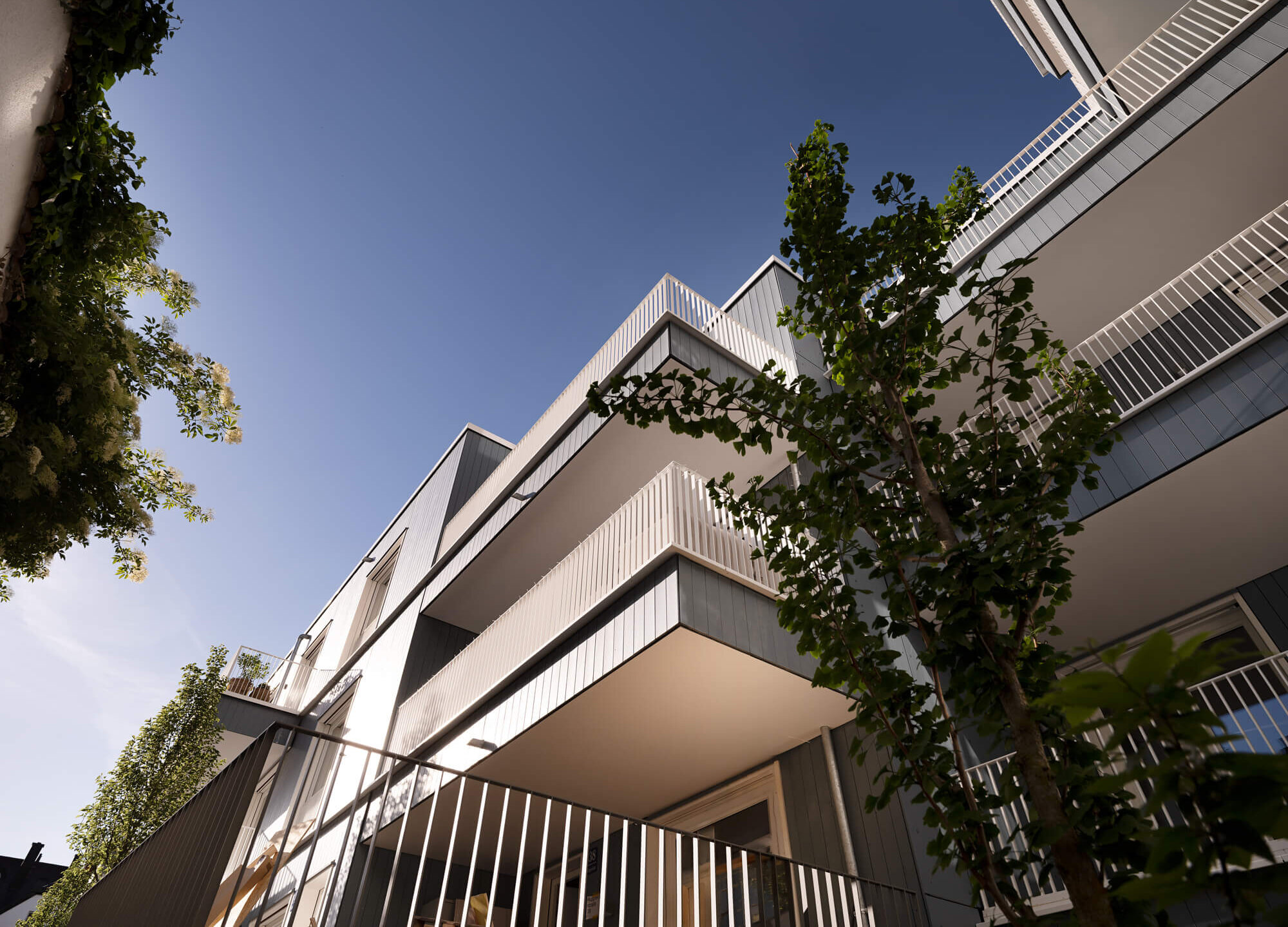 Holzfassade mit Balkonen vor Bäumen im Neubau VINZENT, München Neuhausen