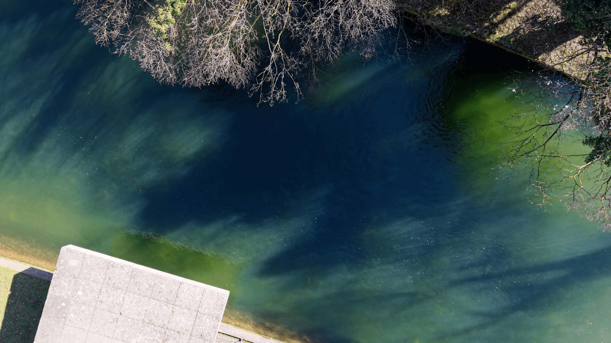Wohngebäude TIVOLI Garden am Eisbach direkt im englischen Garten in München