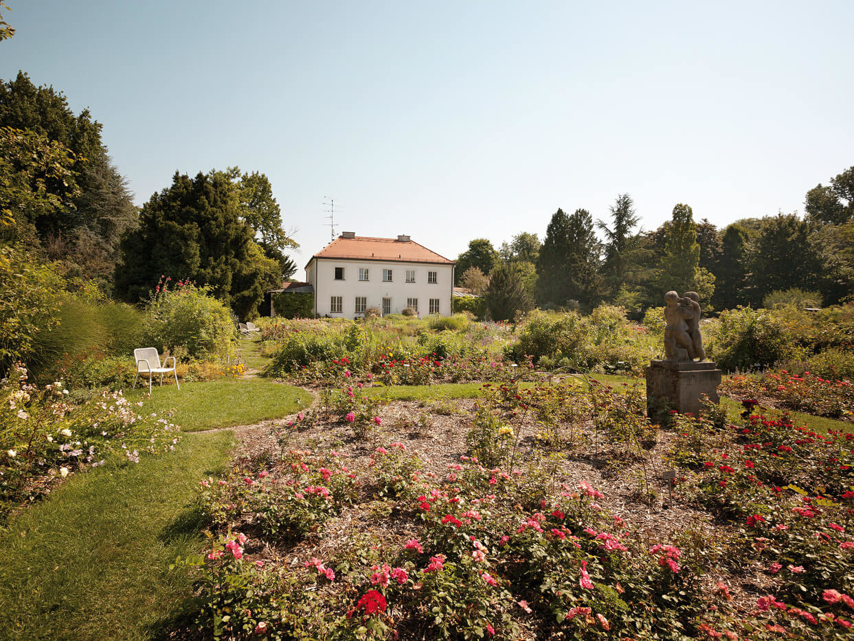 AU/Haidhausen München