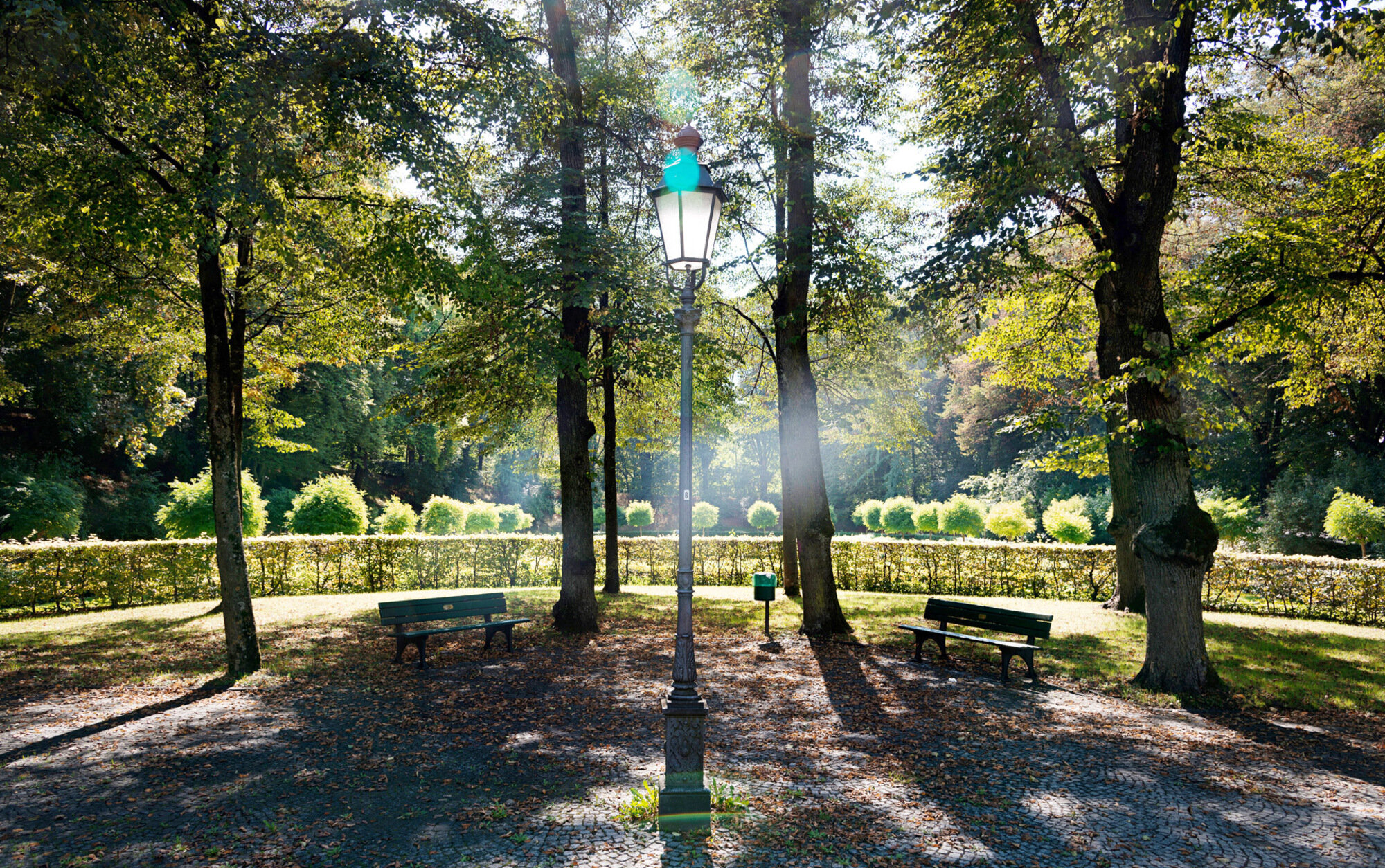 Parkweg mit Bäumen und Laterne zwischen Sitzbänken in München