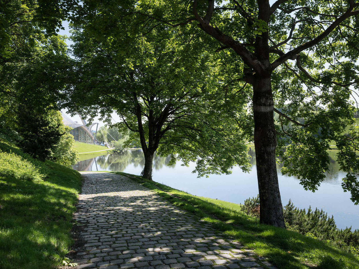 Allee im Olympiapark in München