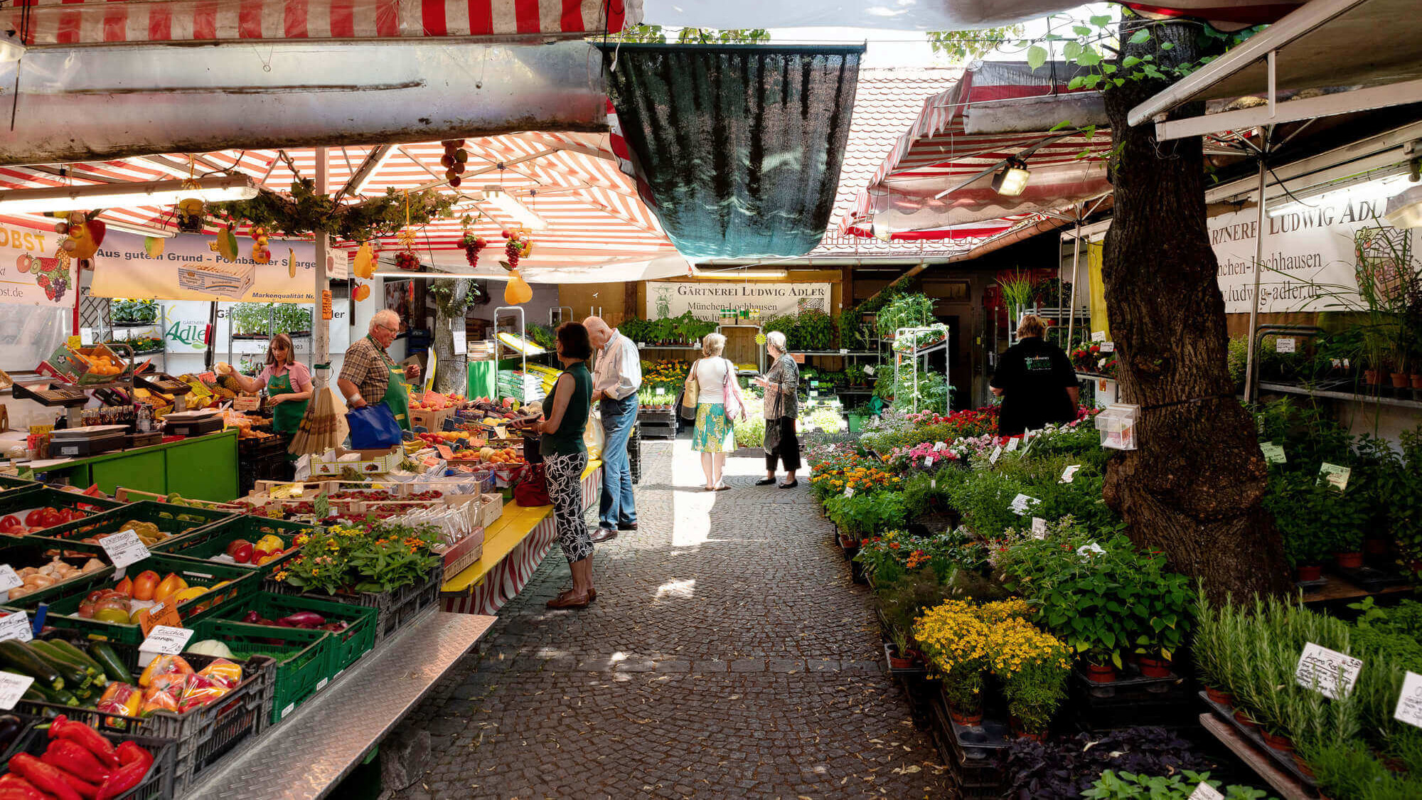 Marktgeschehen eines Wochenmarktes in München Pasing