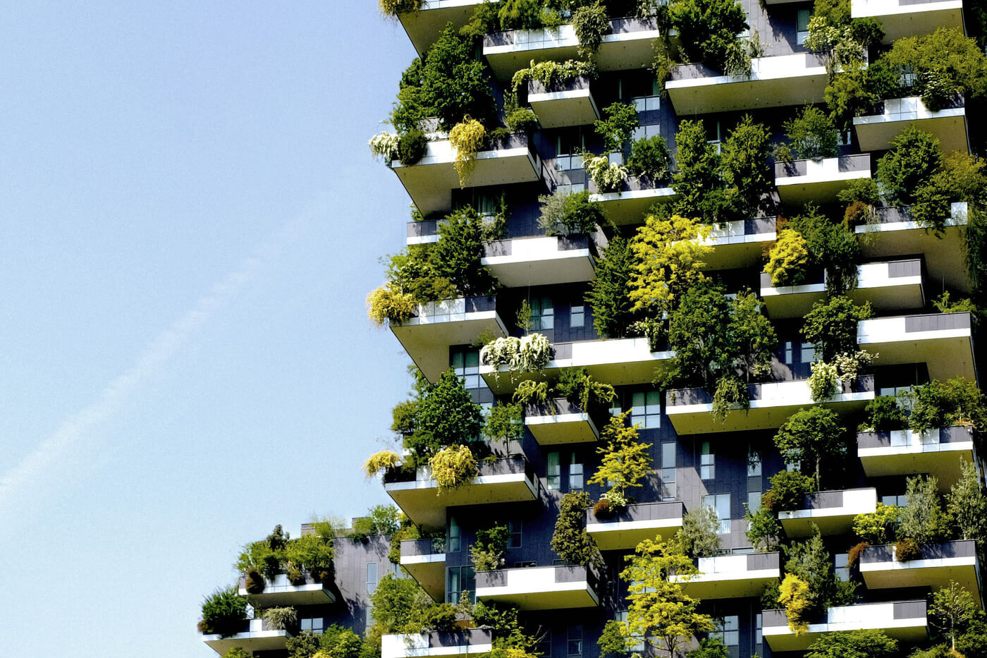 Fassade mit Balkonen und dichter Bepflanzung