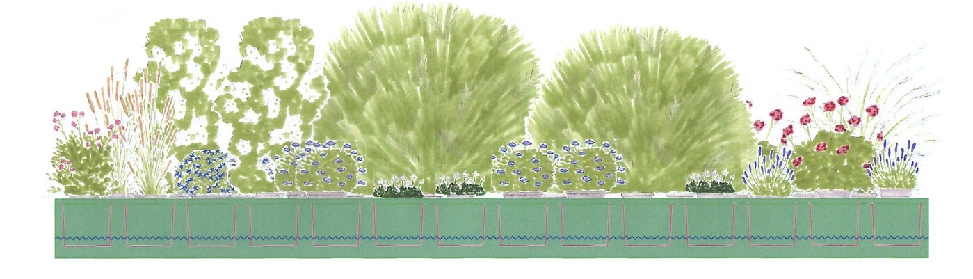 Skizze der Fassadenbegrünung des Neubauprojekts Vinzent