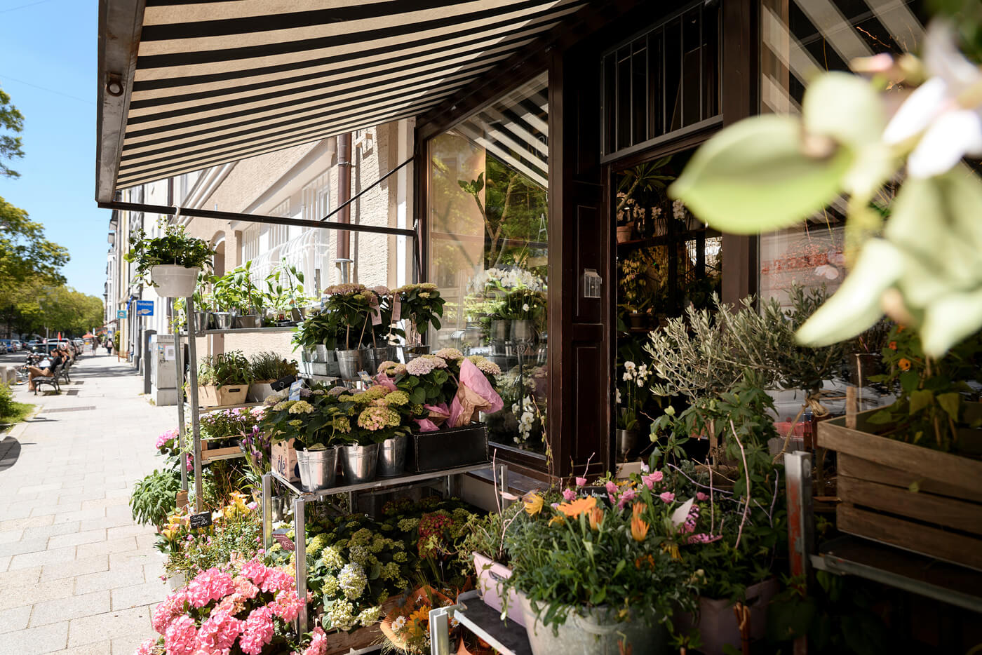 Blumengeschäft in München - Neuhausen