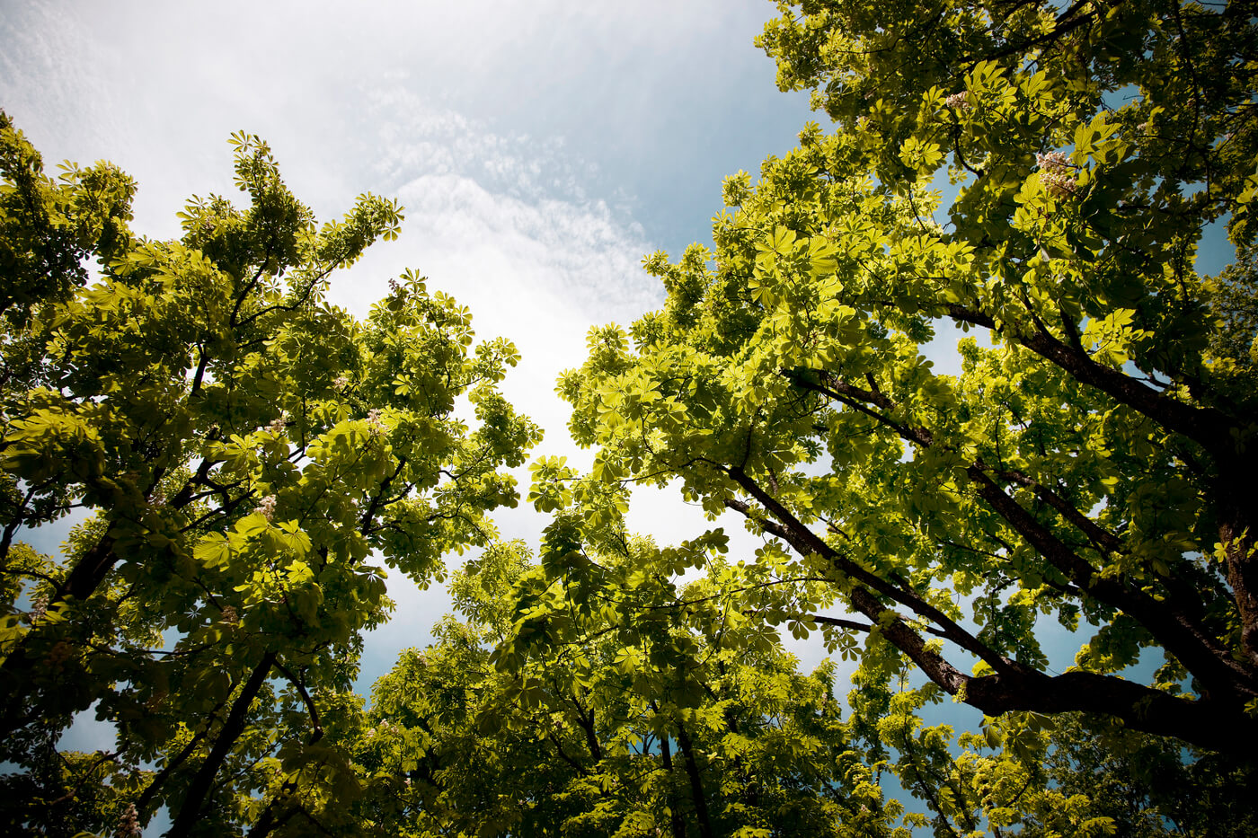 Naturgebiete in Giesing/Harlaching